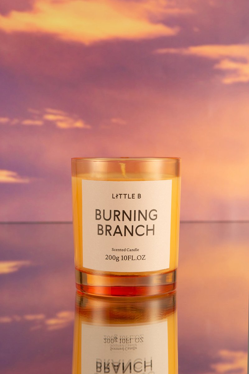Burning Branch 200g Scented Candle-3