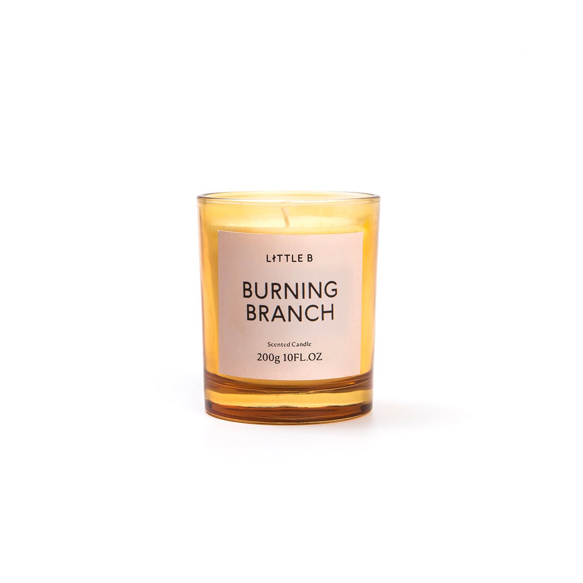 Burning Branch 200g Scented Candle-1